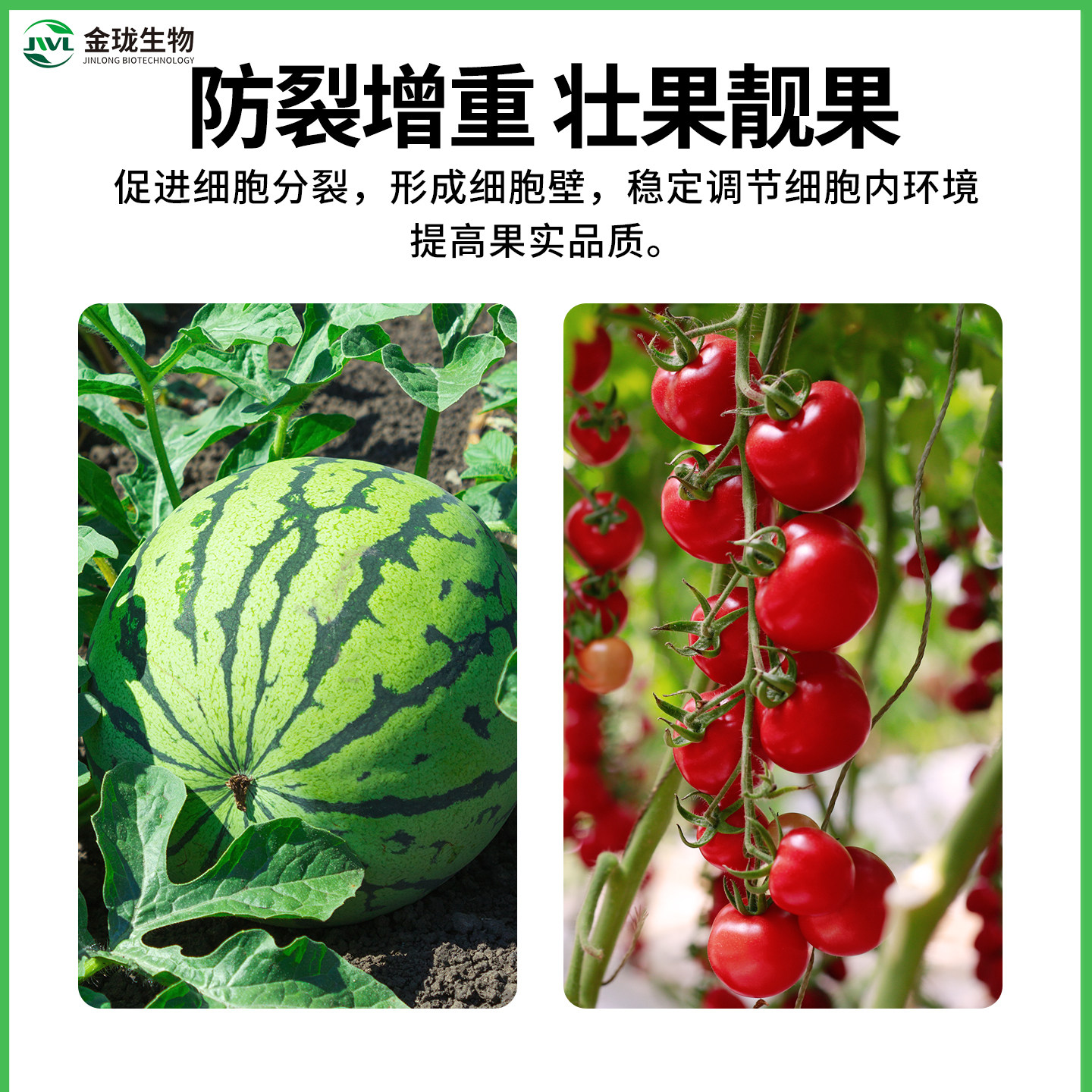 糖醇钙镁硼锌铁叶面肥蔬菜果树防裂中微量元素水溶肥料通用型正品,淘宝优惠券,粉丝福利购,淘宝优惠卷
