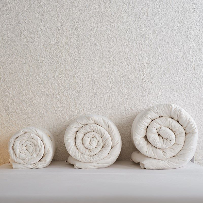 A类无染纯棉春秋被棉花被100全棉加厚水洗提花秋冬被柔软保暖被芯,淘宝优惠券,粉丝福利购,淘宝优惠卷