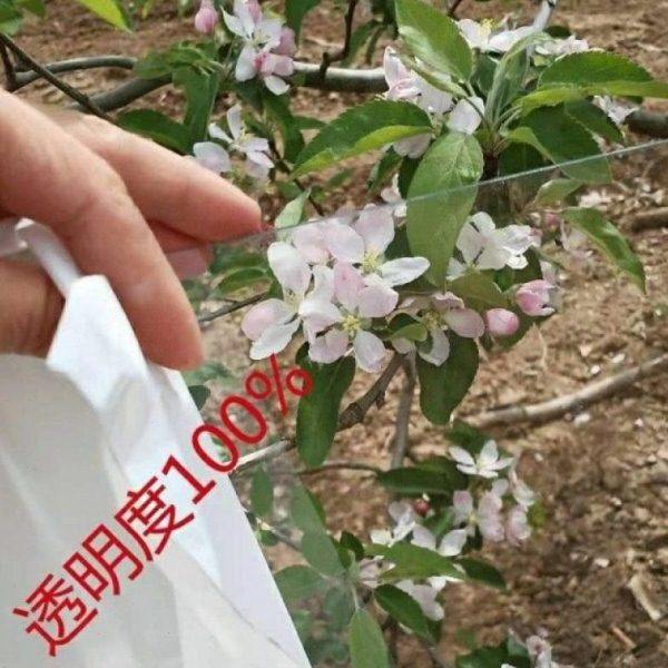 阳光房PC耐力板采光板透明材料阳光板户外房顶阳台雨棚平板棚顶,淘宝优惠券,粉丝福利购,淘宝优惠卷