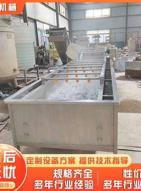 全自动水果蔬菜气泡清洗机不锈钢洗菜机自动清洗机果蔬加工设备