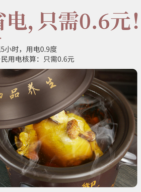全自动炖锅家用陶瓷电炖锅紫砂煲汤锅煮粥神器砂锅养生熬粥电沙锅