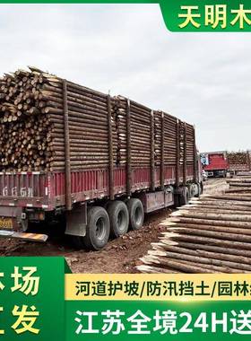 杉木桩原木景观装修木工地河堤用削尖打桩防汛木桩现货林场