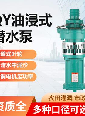 三相潜水泵油浸式喷泉泵深井取水泵3KW高扬程工程农田灌溉油浸泵