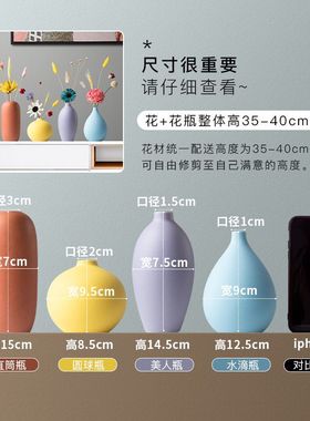酒柜饰品摆件工艺品客厅电视柜鞋柜家居装饰品创意简约陶瓷小花瓶