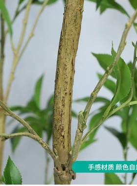 仿真绿植室内盆栽仿生假绿植客厅落地摆件仿真马醉木景观
