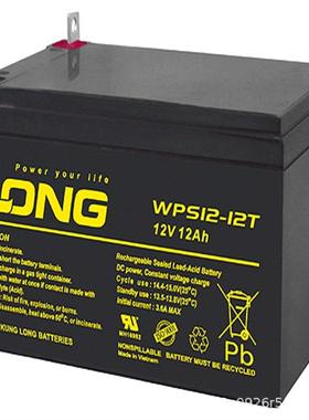 广隆蓄电池WP-WPL12V10071724384065120AH机房直流屏专用