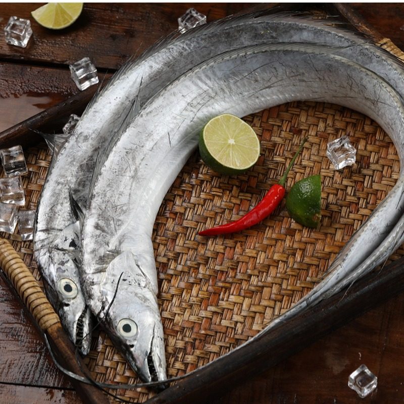 4斤整条野生带鱼舟山鲜活雷达网小眼睛东海大号带鱼新鲜冷冻 刀鱼,淘宝优惠券,粉丝福利购,淘宝优惠卷