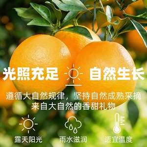【领金币到手8.5】正宗赣南脐橙净重4.5斤