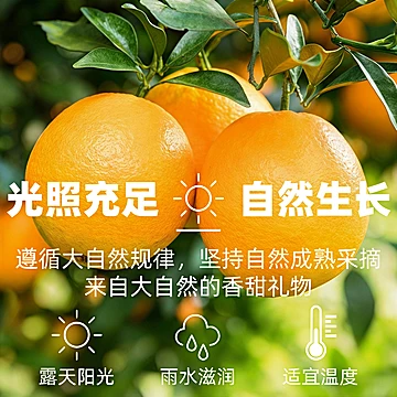 【仅需9.9到手5斤】正宗江西赣南脐橙[15元优惠券]-寻折猪