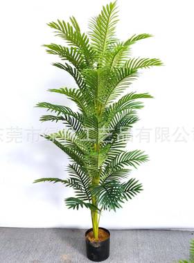 散尾葵凤尾葵北欧大型室内仿真植物美人蕉橄榄树尤加利直销