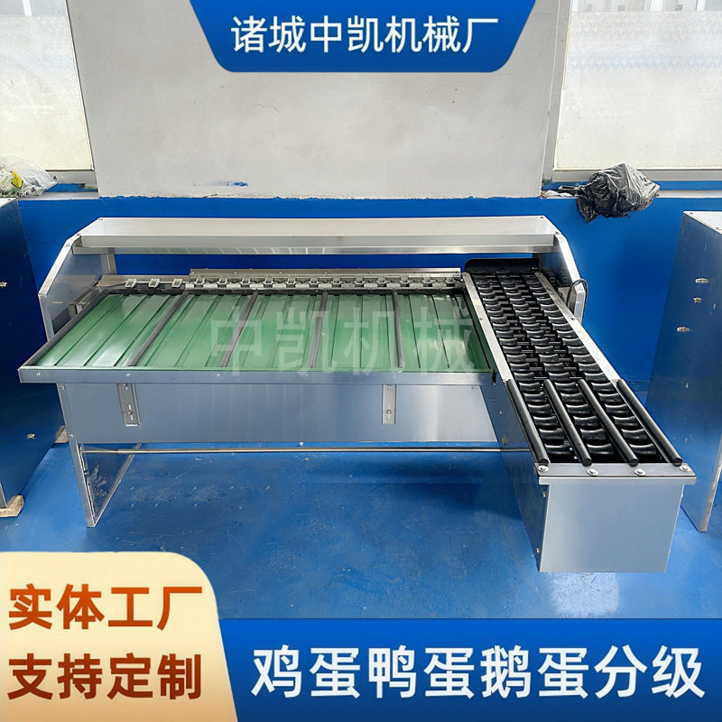 鸡蛋鸭蛋分级机 蛋品分选机 鸡蛋自动分大小设备 鸡蛋重量分级机,淘宝优惠券,粉丝福利购,淘宝优惠卷