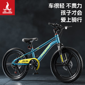 新款凤凰儿童自行车女孩6-10到8-12-15岁男孩小学生专用山地单车