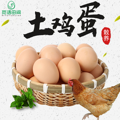 农家散养土鸡蛋虫草蛋