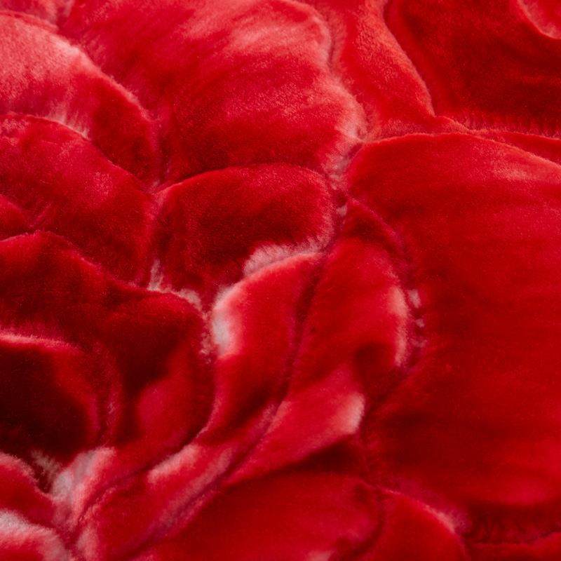 CB@拉舍尔毛毯大红婚庆毯双层加厚结婚云毯法兰绒毯子龙凤喜字,淘宝优惠券,粉丝福利购,淘宝优惠卷