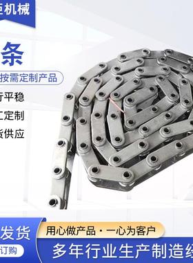 供应输送机链条非标链条大节距链条单双排弯板滚子链异形链条