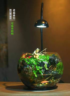 玻璃生态瓶室内桌面迷你水陆苔藓微景观造景绿植盆栽