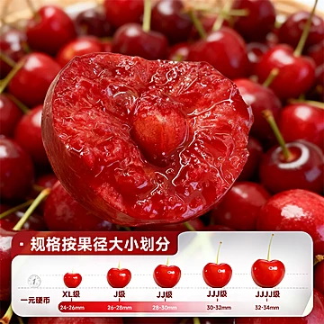 【欢鲜达】智利进口车厘子卡！3J净重5斤[80元优惠券]-寻折猪