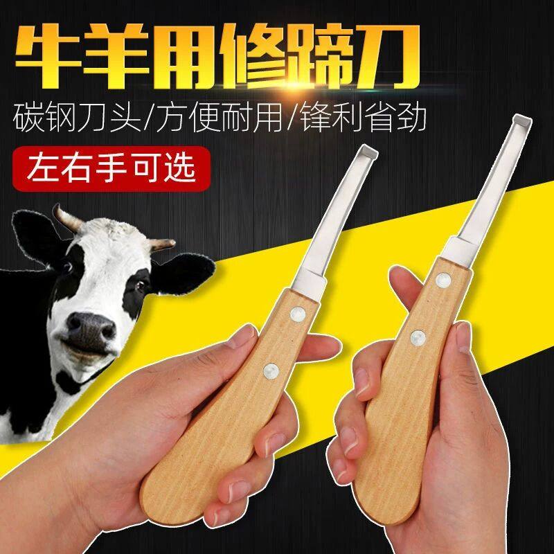 牛用修蹄刀左右手修蹄直刀修蹄弯刀牛蹄工具套装修蹄勾 马术用品,淘宝优惠券,粉丝福利购,淘宝优惠卷