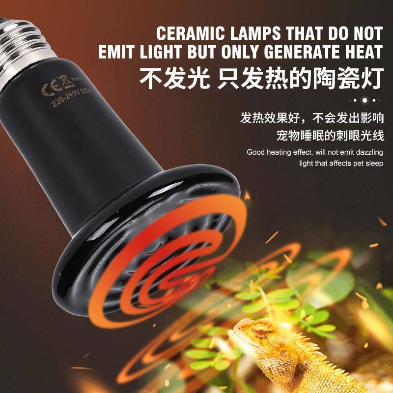 爬宠养殖陶瓷加热灯夜灯 宠物乌龟刺猬蜥蜴红外线保温加温取暖,淘宝优惠券,粉丝福利购,淘宝优惠卷