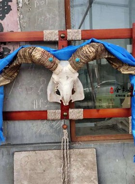 蒙古餐厅装饰木架镶钻羊头骨标本天然真羊头工艺品羊头骨挂饰摆件