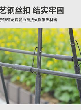 枝晓A型爬藤架种植箱套装瓜果蔬菜爬藤植物