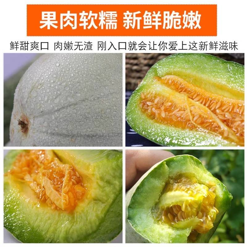 山东羊角蜜甜瓜水果新鲜当季整箱5斤包邮小密瓜香瓜蜜瓜羊角脆 - 图2