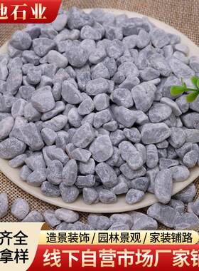 灰色砾石水洗石石枯山水造景透水地坪用小石头园林工程铺路