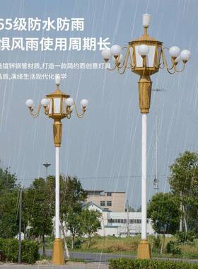 户外中华灯玉兰灯6/7/8/9米中高杆路灯市政道路灯亮庭院景观灯