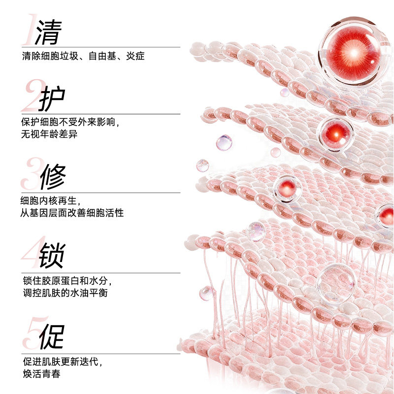 TIMOON AE 麦角硫因口服胶囊虾青素胶原蛋白肽保健品抗时光衰老,淘宝优惠券,粉丝福利购,淘宝优惠卷