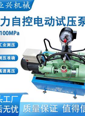 压力自控式电动试压泵大管道压力测试泵4DSB-6.3水压容器打压泵