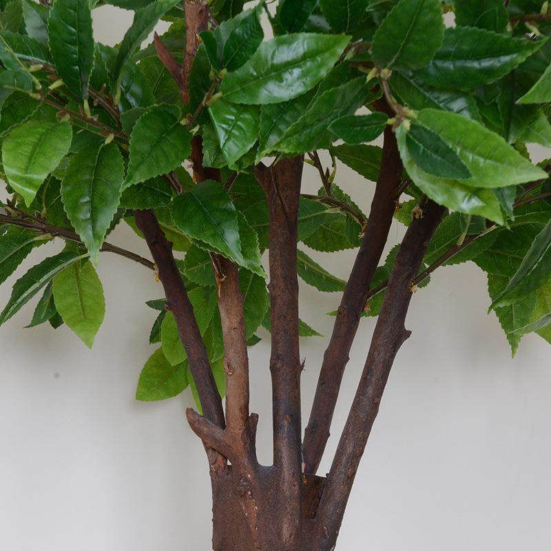 仿真绿植茶树北欧风家居客厅装饰盆栽摄影道具橱窗仿真植物茶树,淘宝优惠券,粉丝福利购,淘宝优惠卷