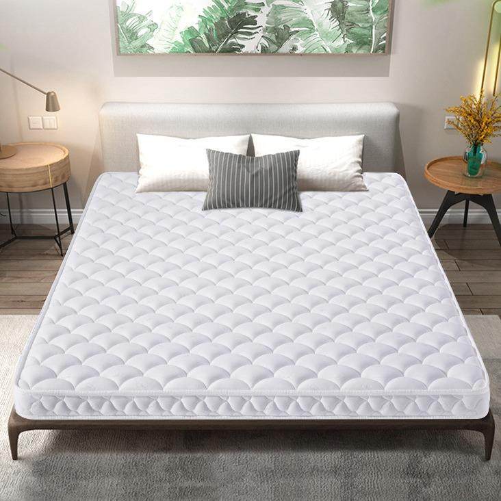 单人薄棕榈学生儿童家用椰棕床垫环保棕垫硬垫订做,淘宝优惠券,粉丝福利购,淘宝优惠卷