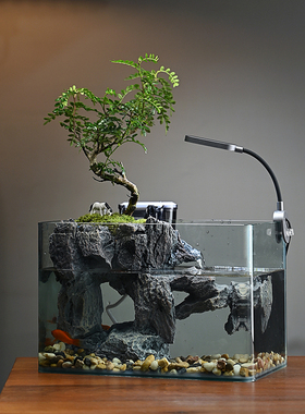 假山过滤流水摆件循环水桌面植物中型鱼缸客厅办公室装饰桌面景观
