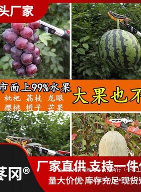 日式多功能伸缩摘果神器高枝剪高空剪枝剪摘果器采摘荔枝龙眼直销