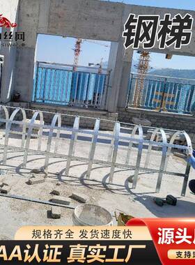 不锈钢爬梯护笼上屋面钢直梯多段带检修平台镀锌安全护笼钢爬梯