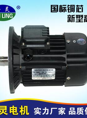 定制三相铜芯电机YS8024卧式铝壳电动机异步电机立式电机