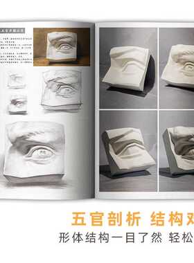 讲透石膏像照片 素描美术绘画零基础入门五官头像结构经典画册