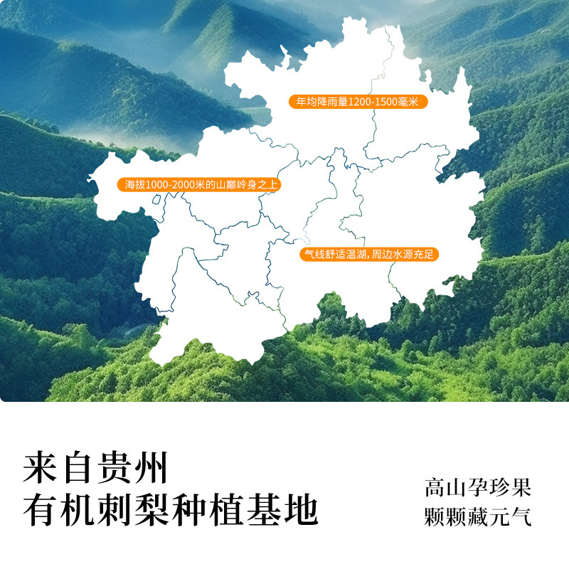 两三刺小分子刺梨原汁贵州天然VC鲜榨原浆