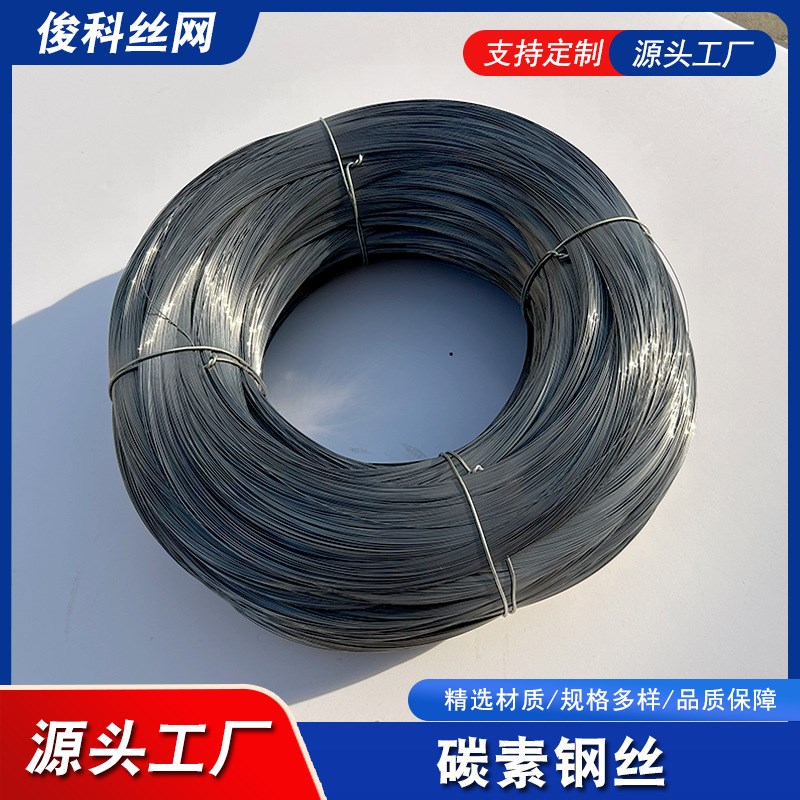 厂家现货高级碳素弹簧钢丝65mn 镀锌热镀锌钢丝 双股镀锌钢丝 - 图1