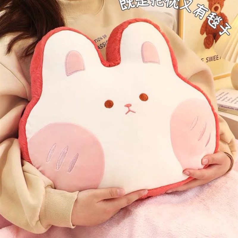 加厚抱枕被子两用猪o抱枕办公室午睡小枕头车载毛毯靠枕毯子二合 - 图1