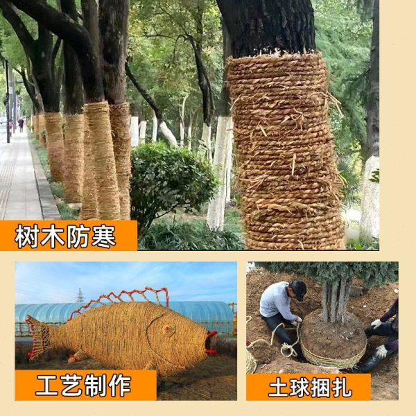 稻草绳捆草绳树木移栽捆绑绳保暖保湿防寒捆扎土球2024当年麻花绳,淘宝优惠券,粉丝福利购,淘宝优惠卷