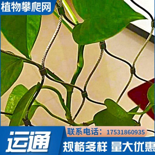 【穿插不锈钢绳网】A濮阳植物攀爬编织绳网A304植物攀爬穿插绳网,淘宝优惠券,粉丝福利购,淘宝优惠卷
