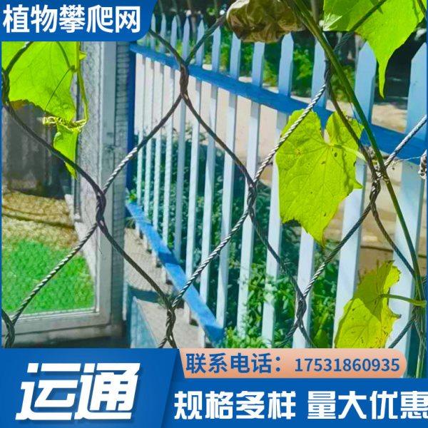 【穿插不锈钢绳网】A濮阳植物攀爬编织绳网A304植物攀爬穿插绳网,淘宝优惠券,粉丝福利购,淘宝优惠卷