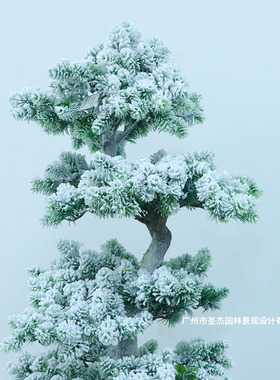 仿真雪效瑶松室内绿色植物装饰仿真松树盆景家居创意装饰仿真植物