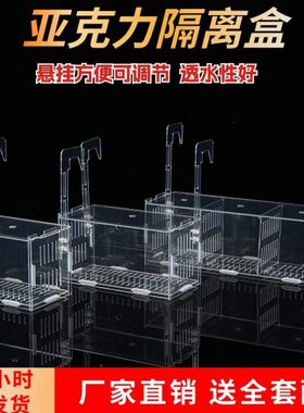 鱼缸水培植物固定架壁挂水培器皿定植篮亚克力花盆定植蓝加深水草