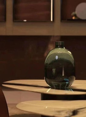 新款镜泊花瓶水养l马醉木龟背竹南天竹鲜切支条鲜花插花器室内摆