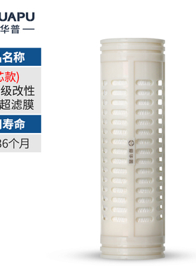 爱华普净水器滤芯ZM01(矿化盒/PVC超滤膜)