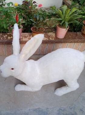 仿真大型大兔玉兔道摆件家居摆大白兔模型TVQ件型动物开业橱窗摄