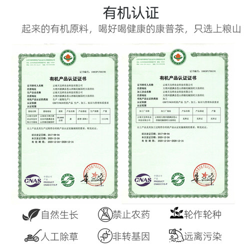 【2罐尝鲜】上粮山青心乌龙康普茶 气泡发酵益生菌碳酸茶饮 - 图3