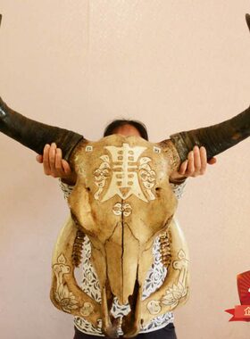 牛头骨工艺品牛头骨标本牛头装饰墙挂牛头摆件羊头骨标本牛头挂件